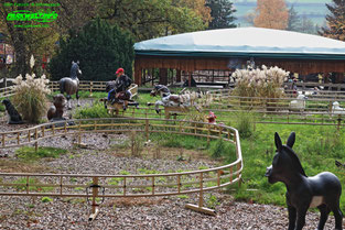 Ponyhof SBF Visa Pony Adventure Reitbahn  Freizeit land Geiselwind freizeitland freizeitpark themepark guide map parkplan anfahrt achterbahn attraktion karussell adresse preise 