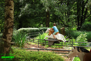 Bayern Park Freizeitpark Themepark Attraktionen Achterbahn Info Map Guide Park Plan Freizeitparadies Reisbach