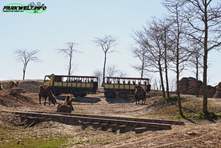 Serenga Safari Wild Lands Wildlands Adventure Zoo Emmen Niederlande Netherlands Holland Park Plan Achterbahn Rollercoaster Safari Wildpark Ausflugsziel Attractiepark Themepark Freizeitpark Attraktionen Bilder Anfahrt Tweestryd Rimbula River Bootsfahrt