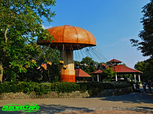 Wirbelpilz Zierer Wellenflug Kettenkarussell Erlebnispark Tripsdrill Cleebronn Baden Württemberg Freizeitpark Themepark Wildpark Attraktionen Fahrgeschäfte Park Plan Parkplan Map Guide Anfahrt Adresse Achterbahn 