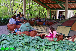 Schlappen Tour Zierer Rides Berg und Talbahn Erlebnispark Tripsdrill Cleebronn Baden Württemberg Freizeitpark Themepark Wildpark Attraktionen Fahrgeschäfte Park Plan Parkplan Map Guide Anfahrt Adresse Achterbahn 