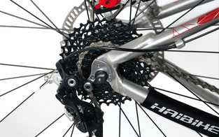 SRAM-Kassette, KMC-Kette, Shimano-Schaltwerk. Und es funktioniert!