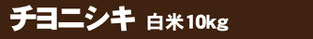 ちよ10k