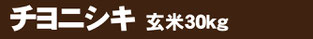 ちよ30k