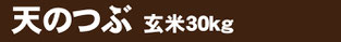 つぶ30k