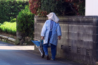 雰囲気はこんな感じ（写真はイメージです）
