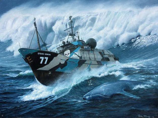 Bateau Sea Shepherd dans tempête