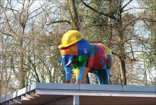 Wie kommt der Elefant auf dem Dach :-)