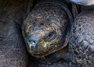 Ecuador und Galapagos Gruppenreise Thorsten Hansen