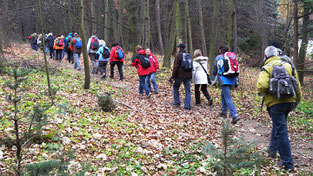 Wandern bei Pulsnitz