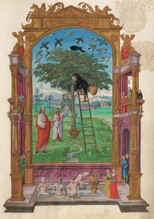 L’Arbre philosophique, f. 15r. Temple de Paris
