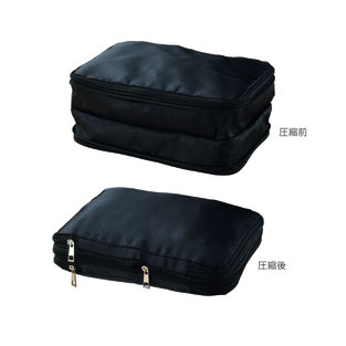 コンパクト収納ケース 小