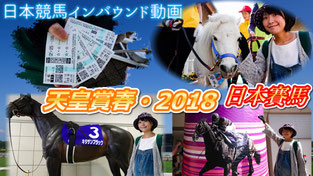 日本賽馬體驗 京都競馬場 2018年春季天皇賞