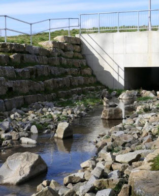 Ochsenbach - Hochwasserrückhaltebecken in Richtung Norden, Foto: B. Schlund, Schhatthausen