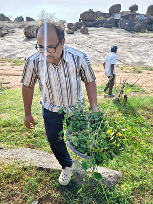 2025 : Volunteer clearing the surrounds.