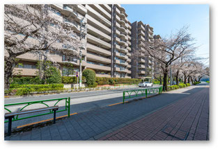 2026年3月24日撮影桜丘フラット外観