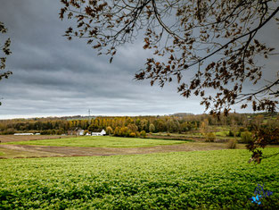 Paysage montois