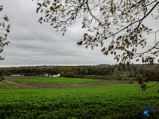 Paysage montois