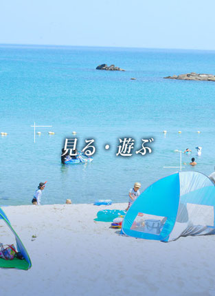 目的から選ぶ