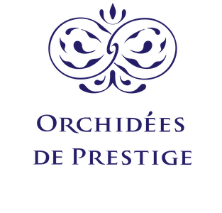 Producteur d'orchidées français