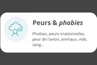 Icône représentant les peurs et phobie de l'avion et phobie du sang et phobie des animaux et phobie du vide-accompagnement en hypnose à Orléans et Blois et alentours