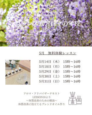 無料体験レッスン