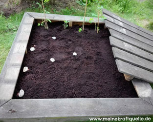 Aus alt mach neu, alternatives Blumenbeet, Blumenbeet selbst bauen, Sandkasten umfunktionieren, Kraftquelle