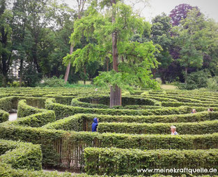 rechter oder linker Weg, Irrgarten, Mut, Labyrinth