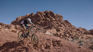 e-Bike Antriebe: Bosch und Shimano entwickeln MTB Motor
