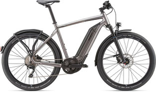 Giant Quick E+ Speed-Pedelec / Trekking e-Bike 2020