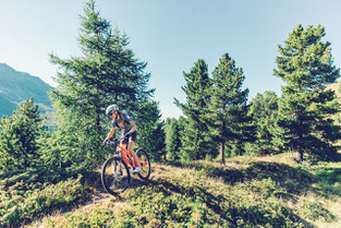 Saisonstart bei Haibike: e-Bikes mit Bosch Performance CX Motor bei e-motion Probe fahren