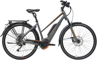 Hercules Futura Sport Speed-Pedelec 2019