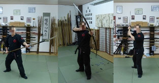 Schwertlanze (Naginata), Bogen und Schwert (Katana), Im Hintergrund des Schrein unseres Dojo. Traditionelle Kampfkunst in Marl, Kampfsport, Stockkampf, Bojutsu, Schwertkampf, Kenjutsu