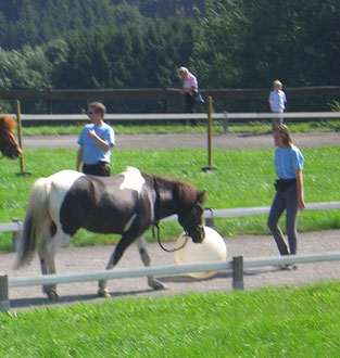 Der Ball liegt zwischen Sigrid und dem freilaufenden Tandri. Der Schecke beschnuppert den Ball