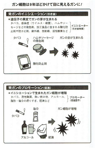 「ガンにならない3つの食習慣」より
