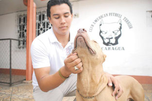 Información pinchando en la foto.