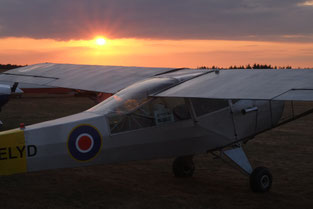 Taylorcraft Auster AOP Mk.5 - D-ELYD
