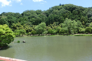 白水阿弥陀堂の庭園
