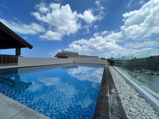 villa avec une grande piscine a île Maurice avec 5 chambres JINVESTY et Jinvesty ile maurice 