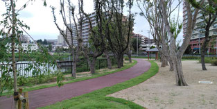 周辺道路・遊歩道・公園整備を堺市が担う