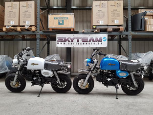 Motorrad Skyteam Skymini Skymax Skybongo Skyteammoto