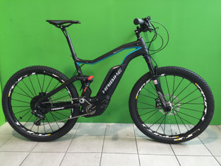 1 von nur 7 bei uns zu haben: Das Haibike Fullseven Carbon RX EUR 7.999,-