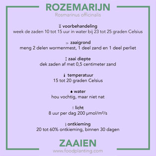 rozemarijn zaaien