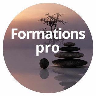 formations professionnelles en massage, hypnose, reflexologie plantaire en touraine val de loire