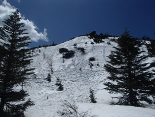 八ヶ岳　黒百合平　雪山　雪上講習　登山　ガイド　ツアー　