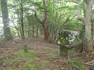 日向山　古道　ガイド