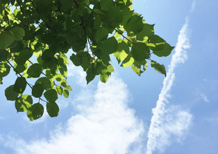青い空
