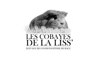 Site de lescobayesdelaliss !