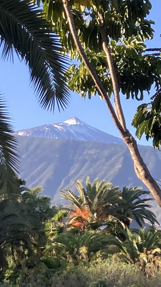 Qigong und Taiji Quan in Puerto de la Cruz, Teneriffa