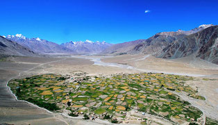 Zanskar Trekking von Phuktal nach Shade und Lingshed